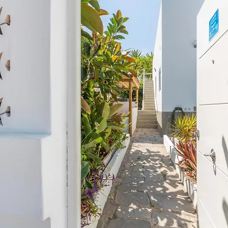 Terrassenzeit 3 * Puerto de la Cruz (Tenerife)